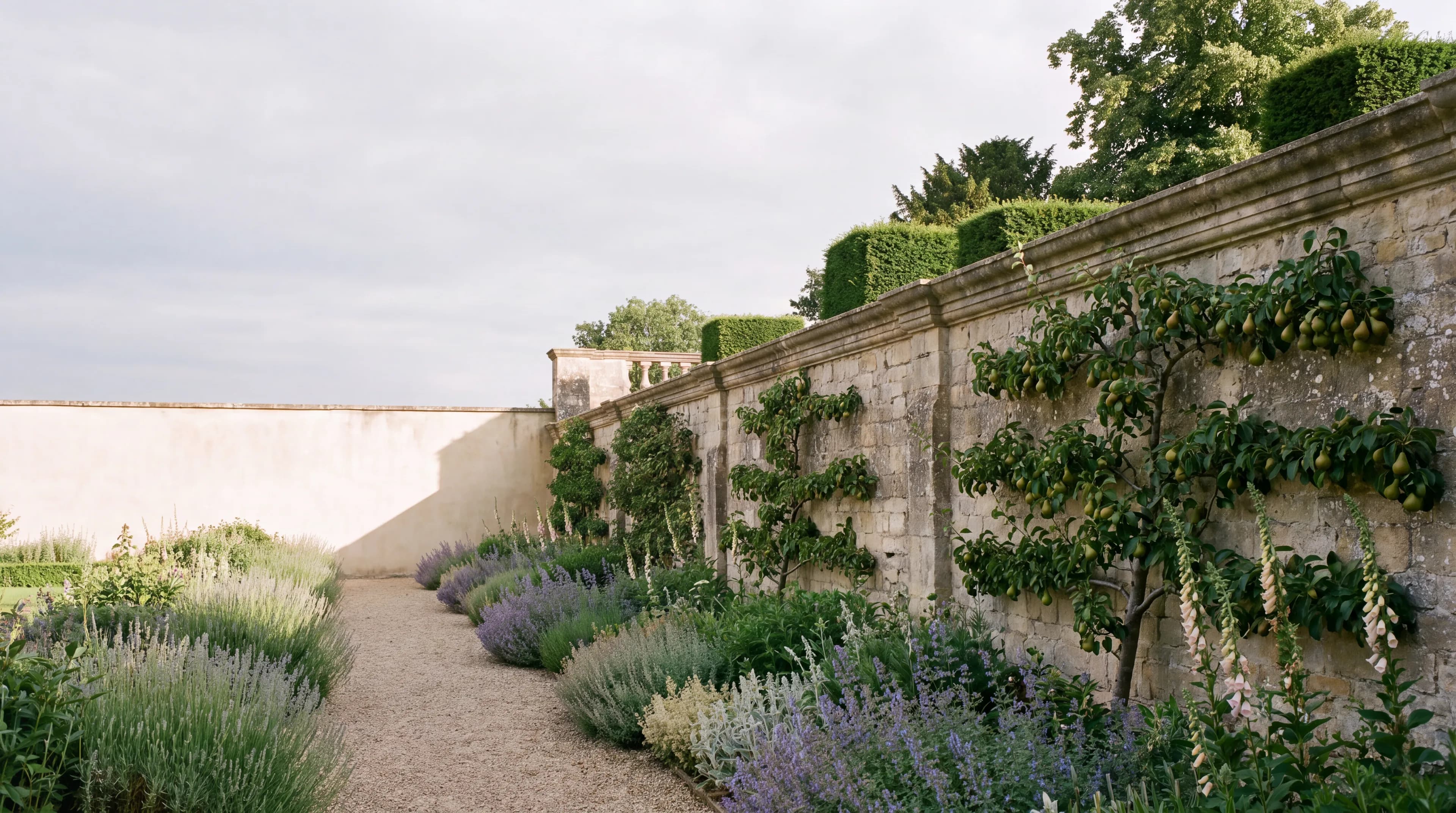 A boundary wall running between two properties.